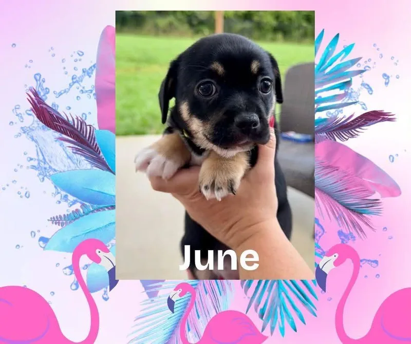 June