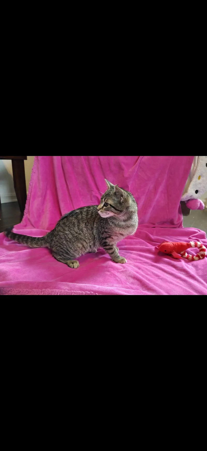 Jasmine thumbnail 4