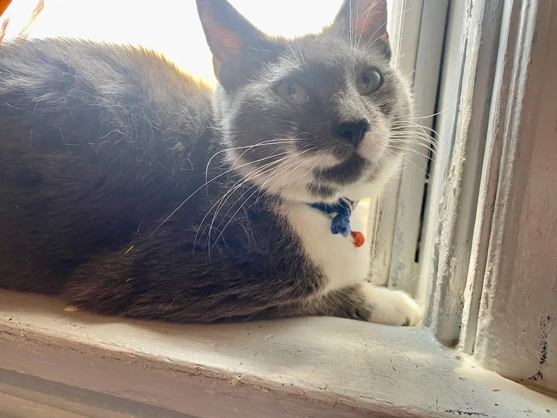 Ms. Porter  At thumbnail 2