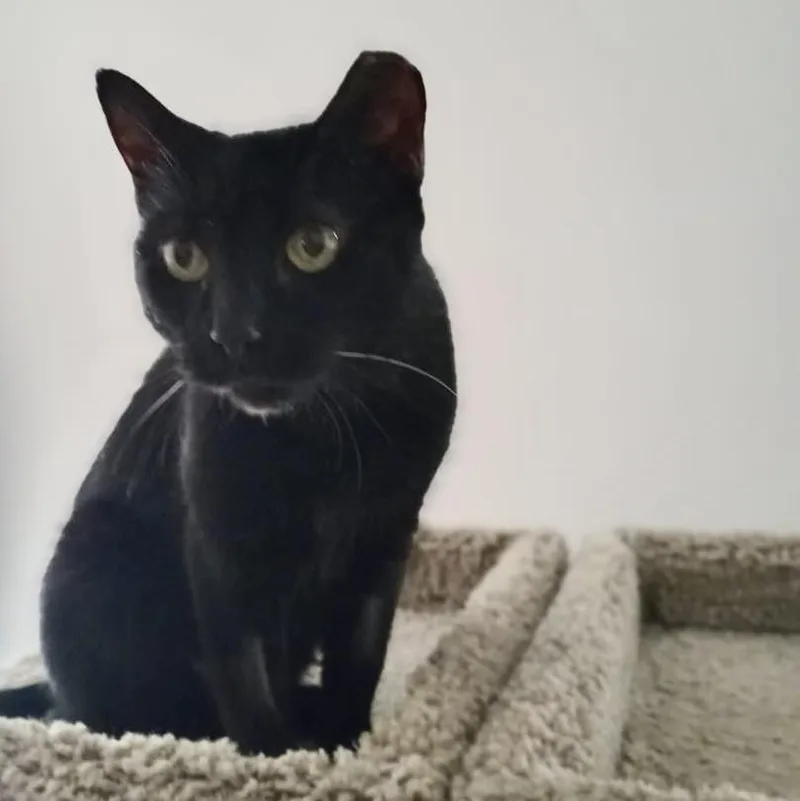 Michelle thumbnail 3