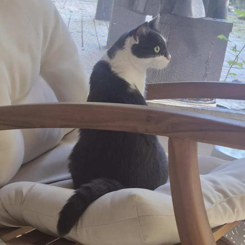 Smidgen aka Sweetie or thumbnail 2