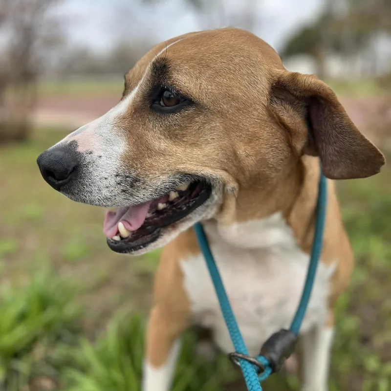 Ellie Mae thumbnail 2