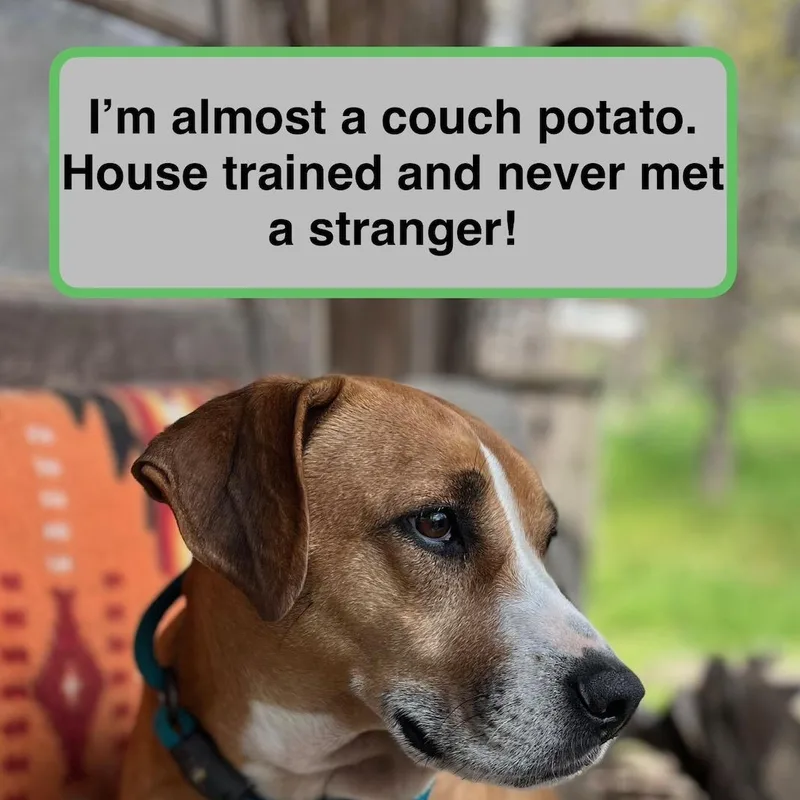 Ellie Mae thumbnail 3