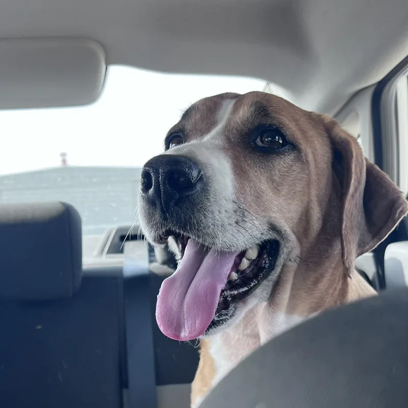 Ellie Mae thumbnail 4