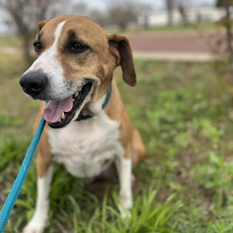 Ellie Mae thumbnail 5