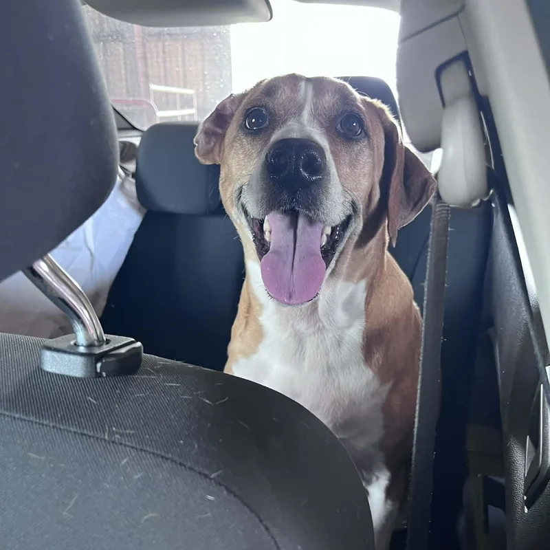 Ellie Mae thumbnail 6