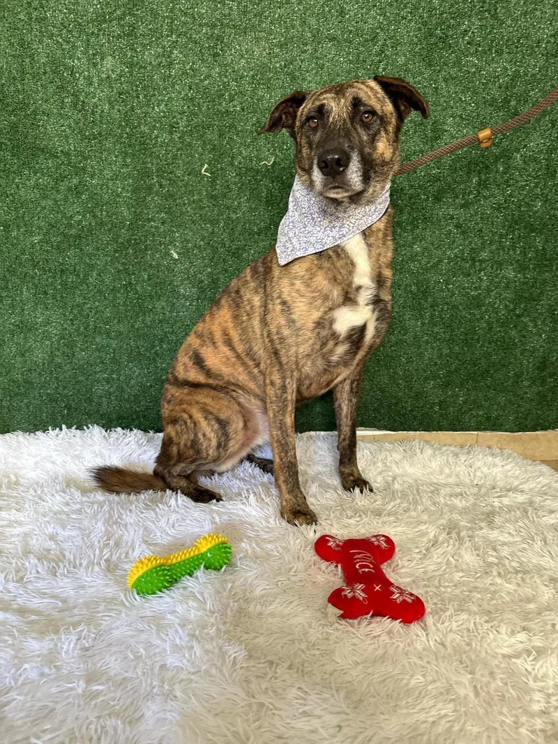 Cute Candid Captain thumbnail 3