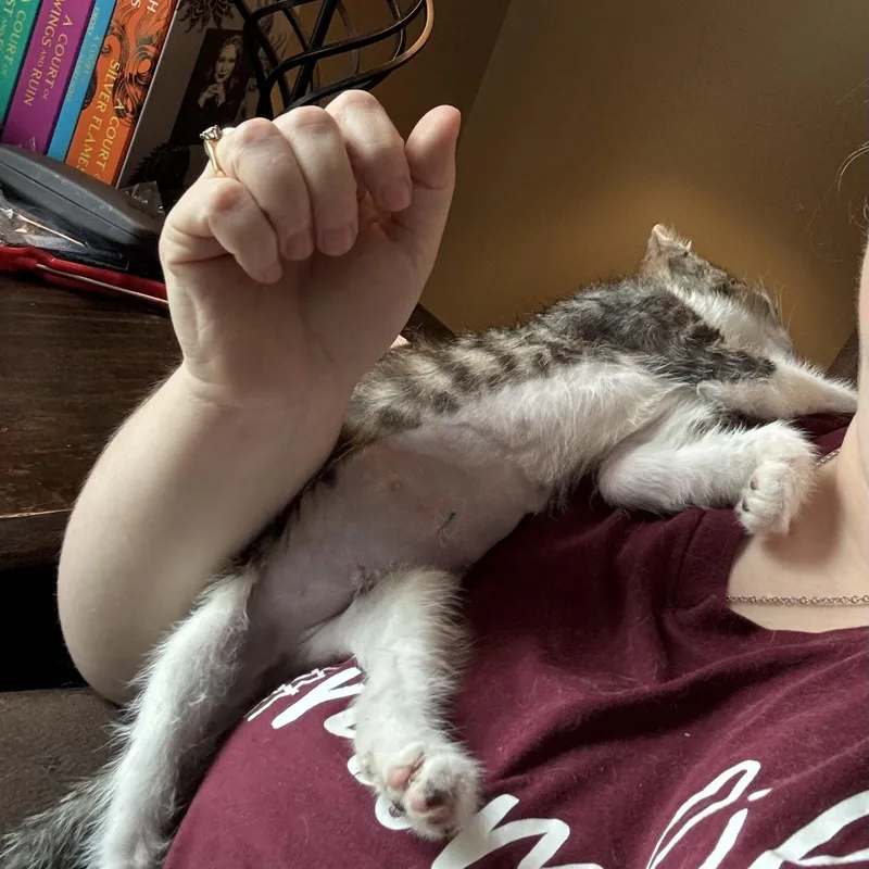 Penelope thumbnail 6