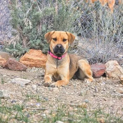 Coco