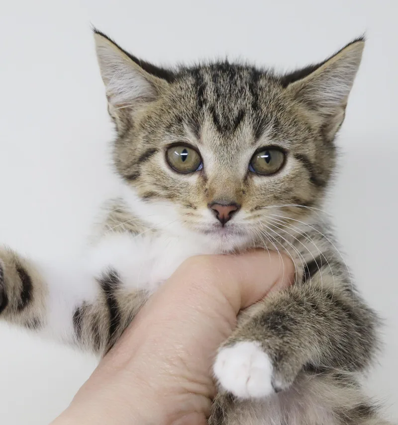 Tequila Is A Living thumbnail 2