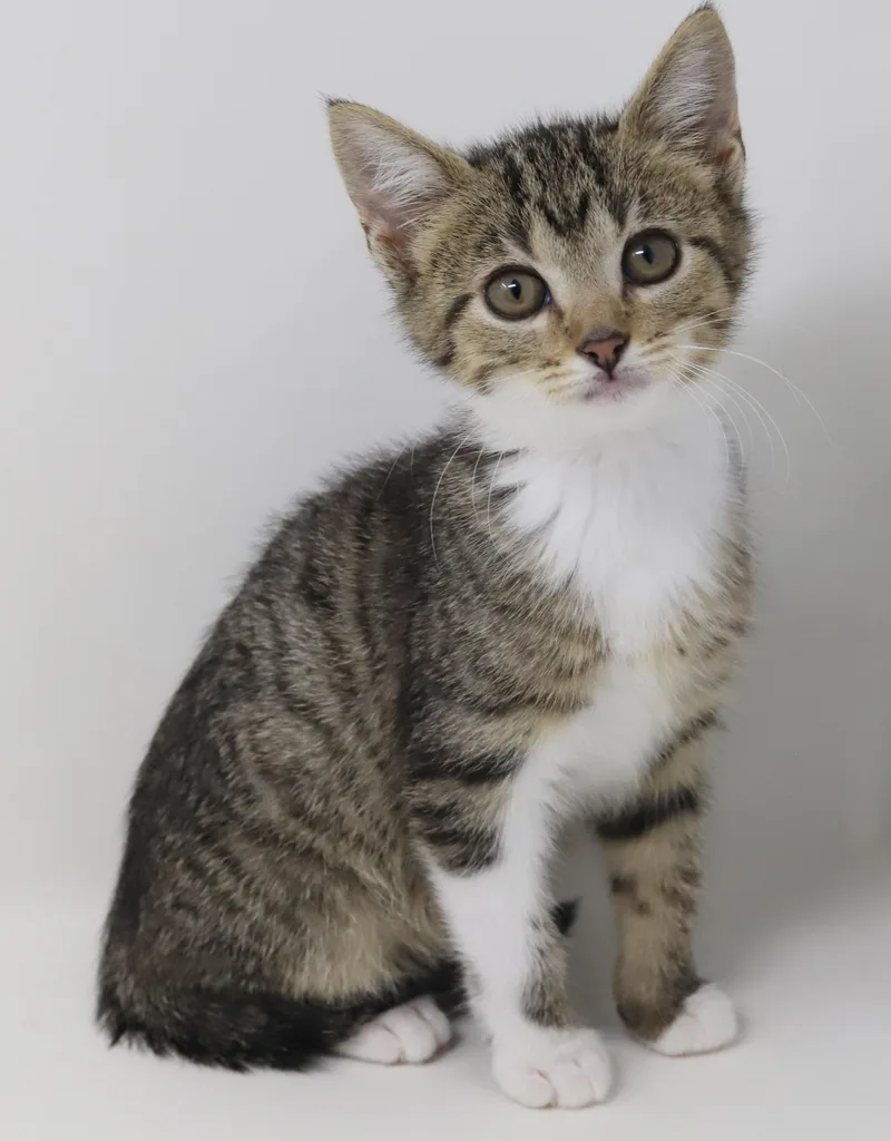 Tequila Is A Living thumbnail 3