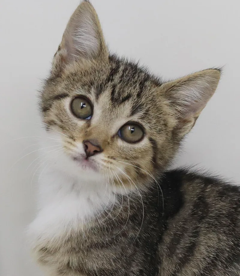 Tequila Is A Living thumbnail 4