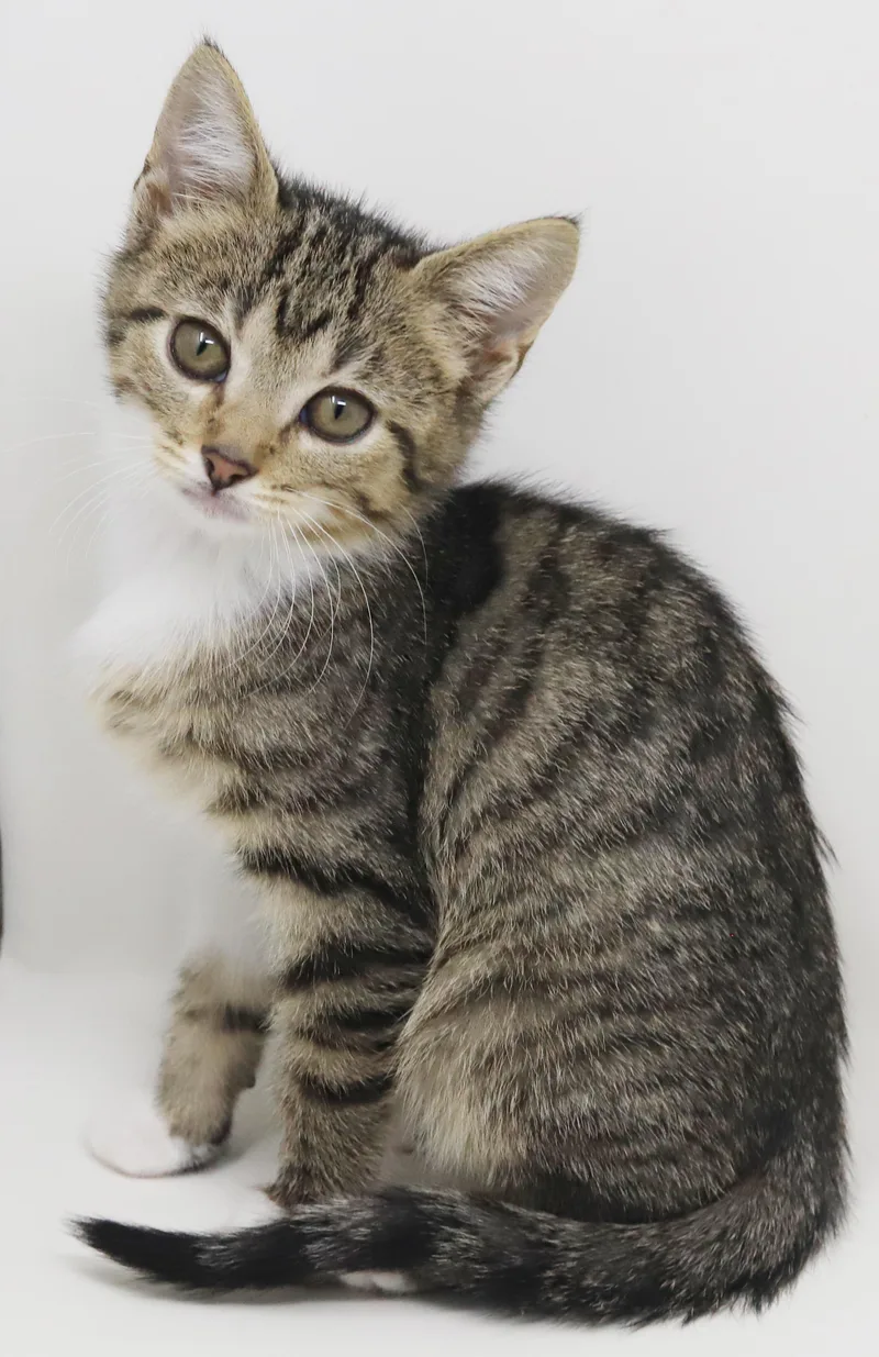 Tequila Is A Living thumbnail 5