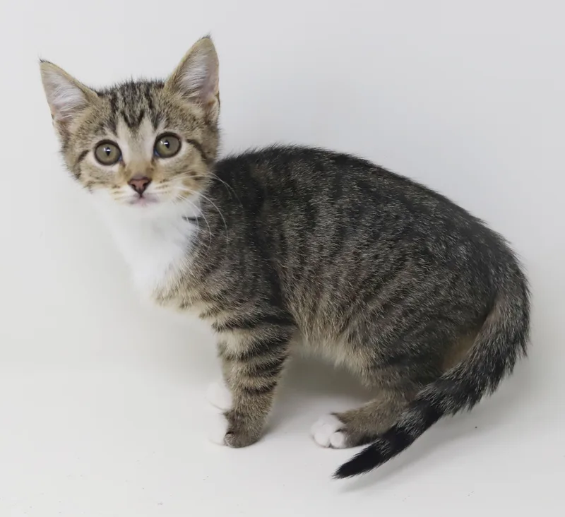 Tequila Is A Living thumbnail 6