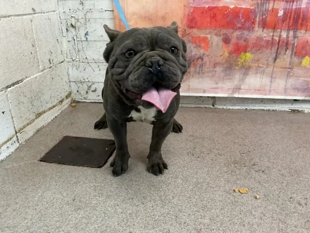 Jax