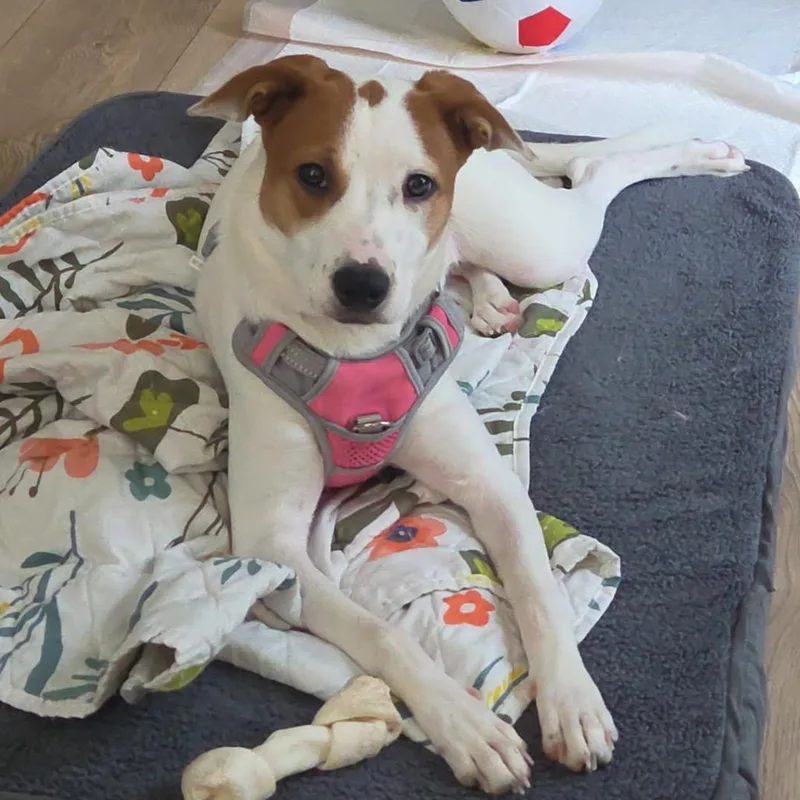 Zoey thumbnail 2