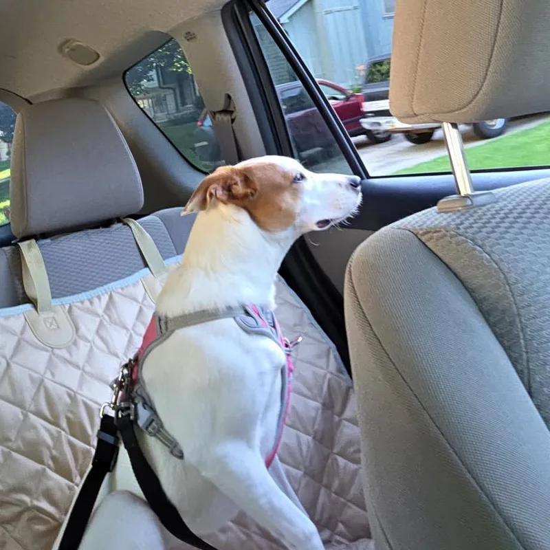 Zoey thumbnail 4
