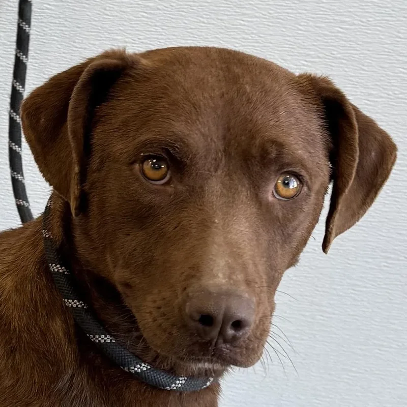 Charlotte thumbnail 2