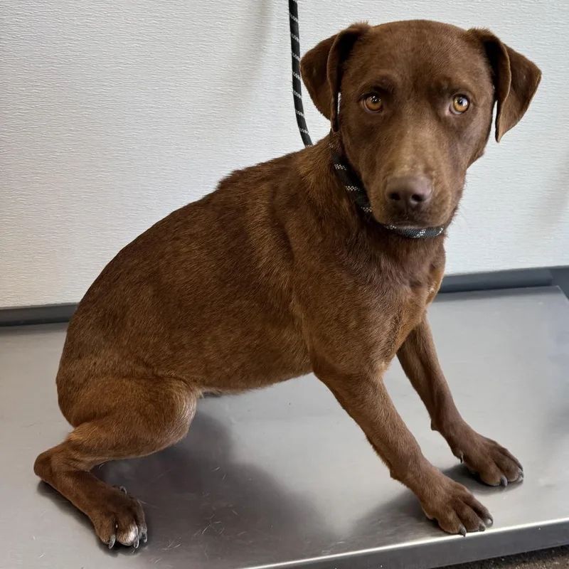 Charlotte thumbnail 3