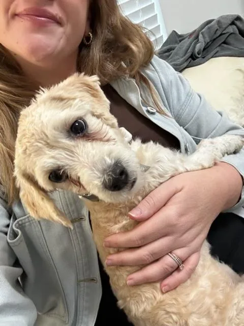 Dottie thumbnail 4