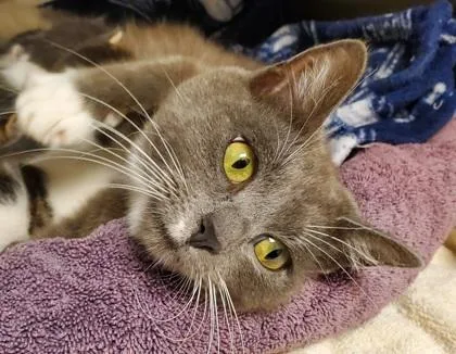 Galadriel thumbnail 2