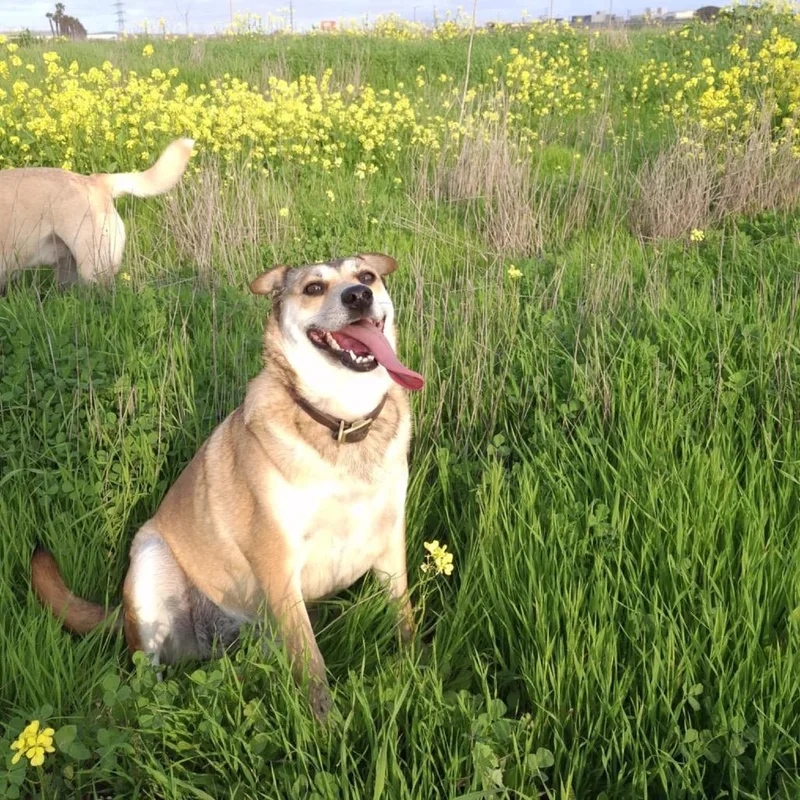 Kelamani thumbnail 2