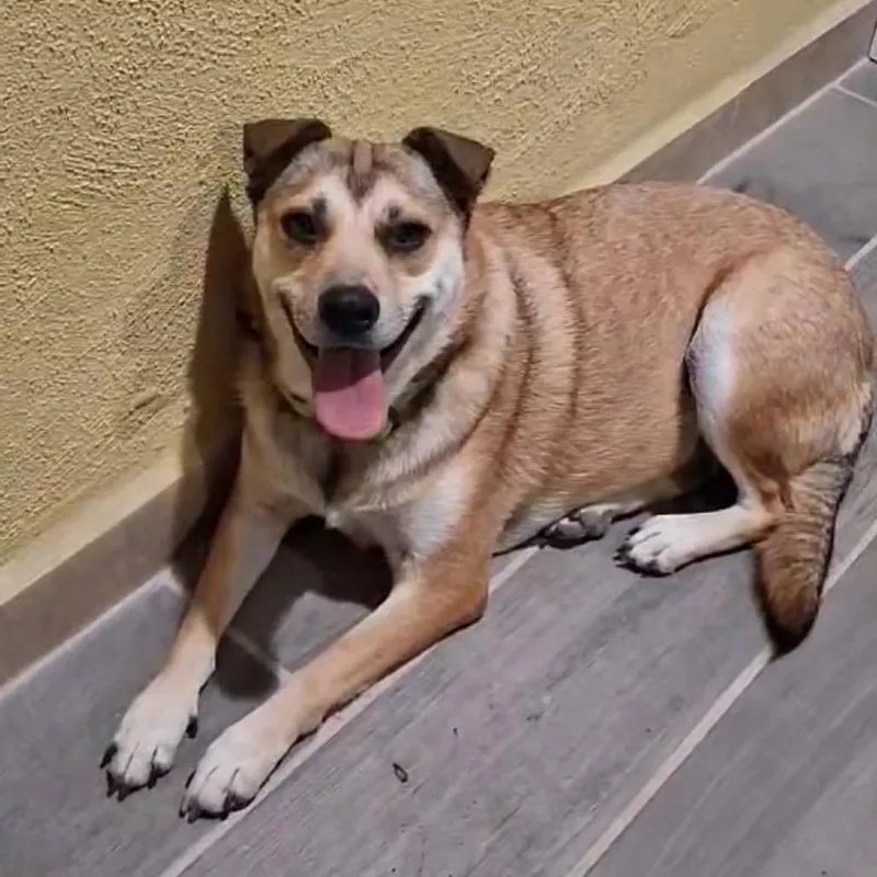 Kelamani thumbnail 4