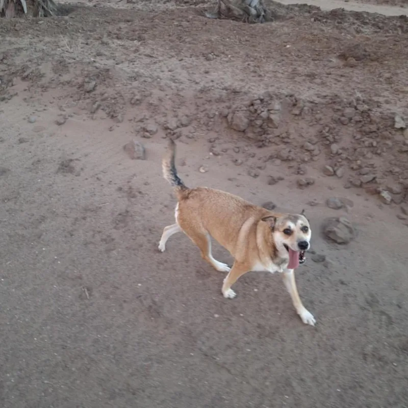 Kelamani thumbnail 5