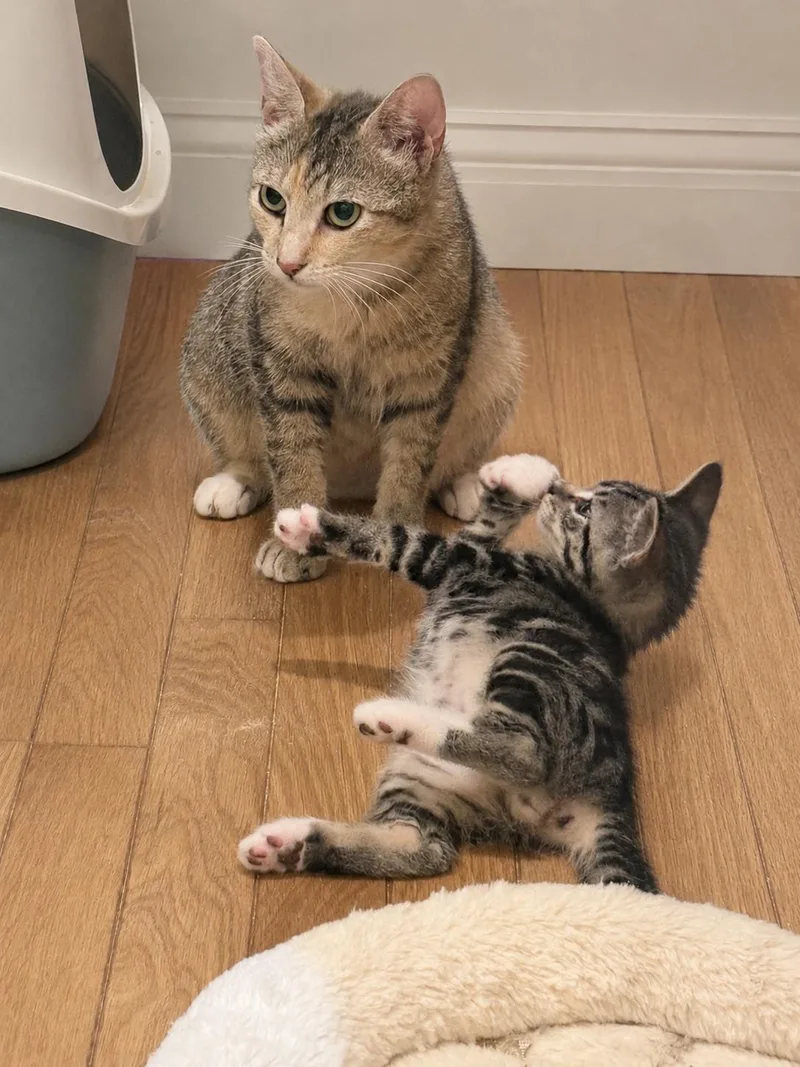 Rosie& Hero thumbnail 3