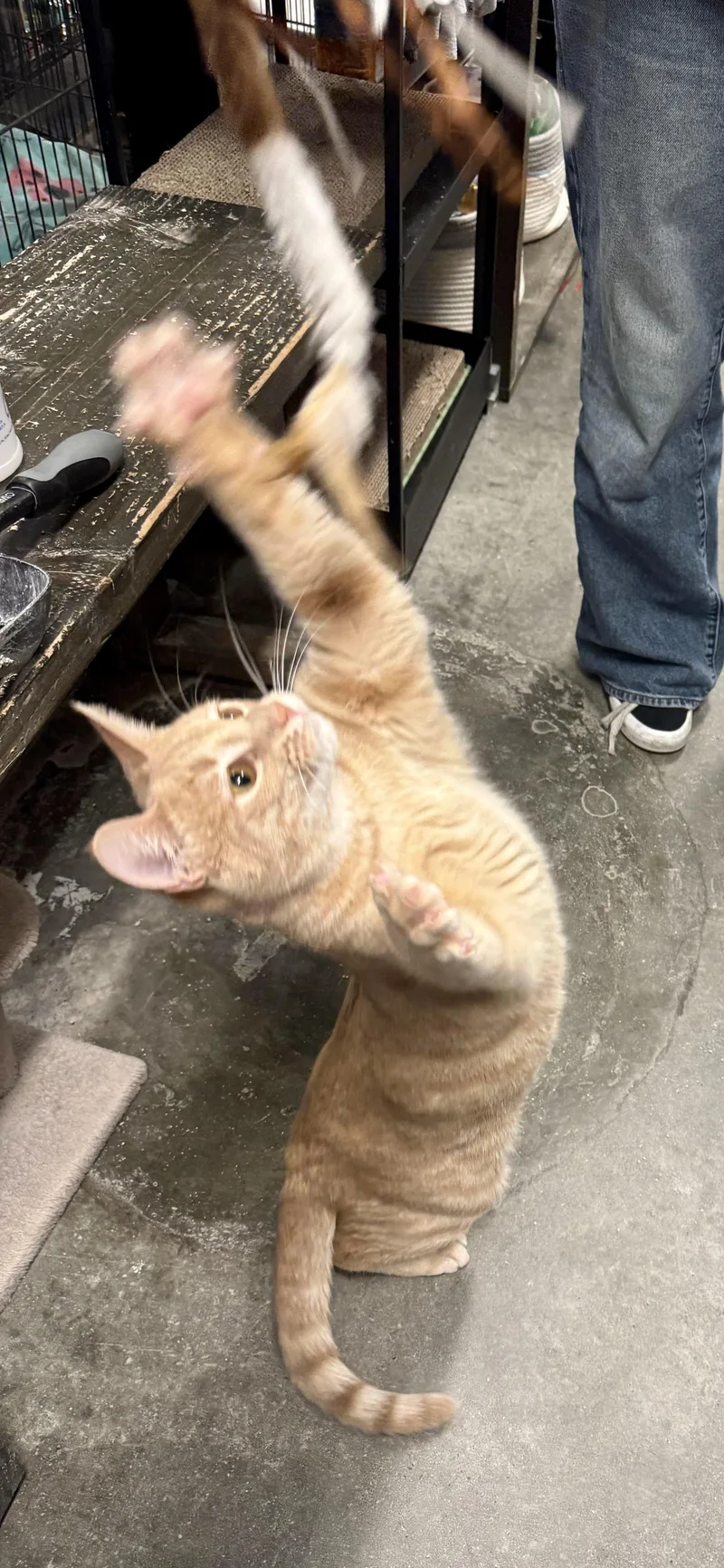 Malachite thumbnail 2