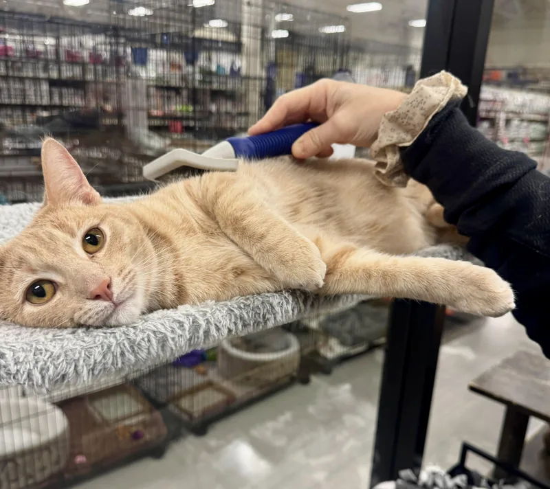 Malachite thumbnail 3