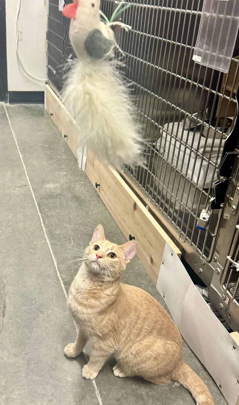 Malachite thumbnail 4