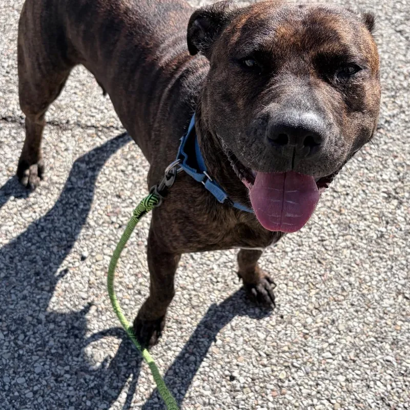 Dora The Explorer thumbnail 2