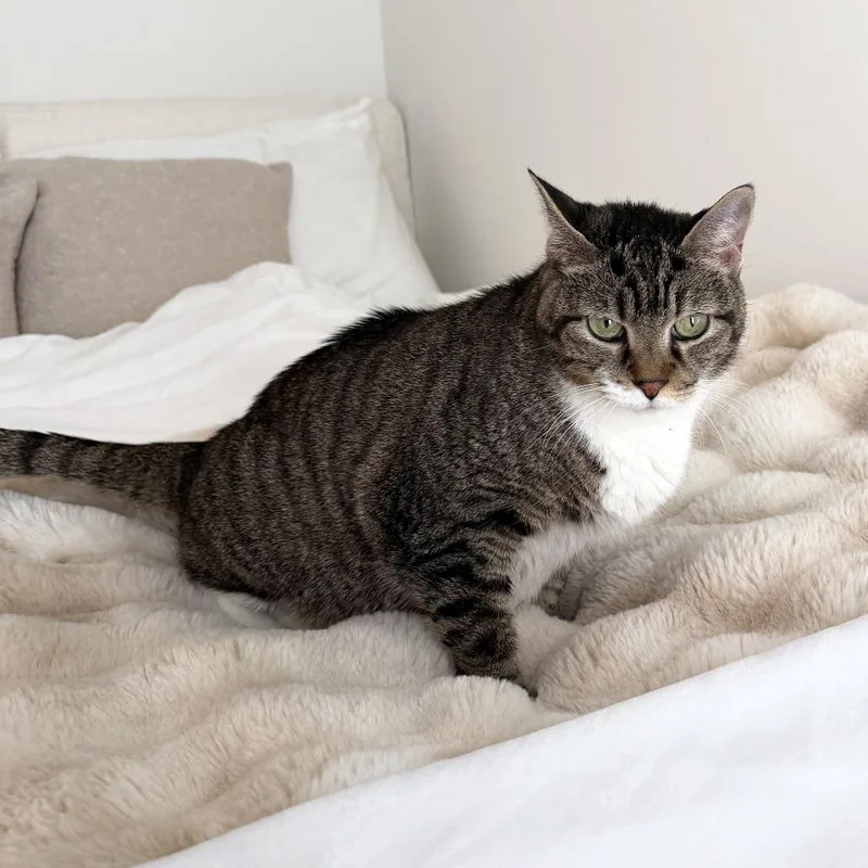 Grandma Doubtfire thumbnail 5