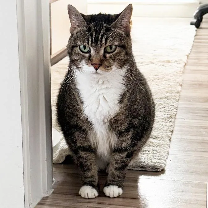 Grandma Doubtfire thumbnail 6