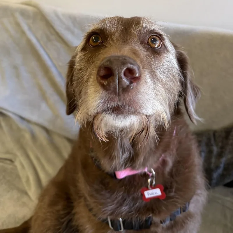 Addie thumbnail 2
