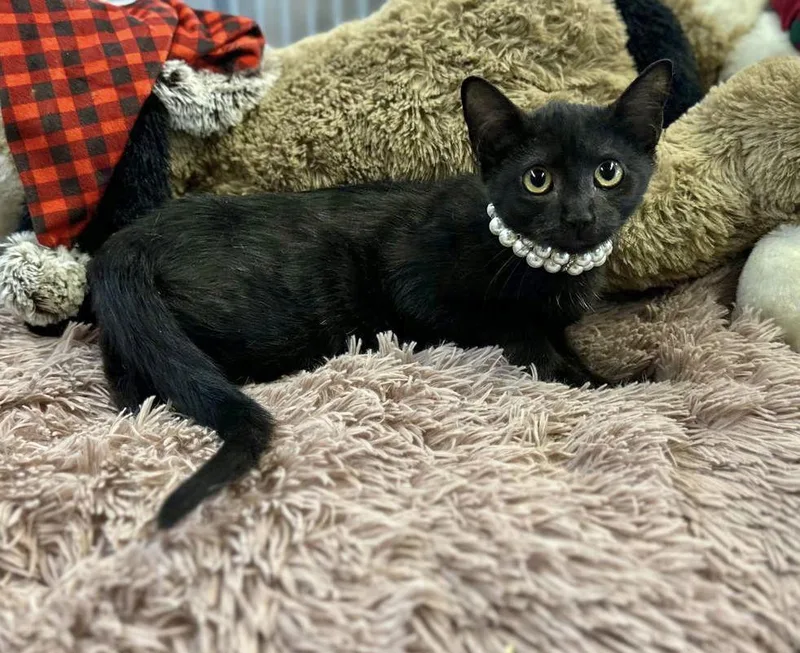 Clarice Baby thumbnail 2