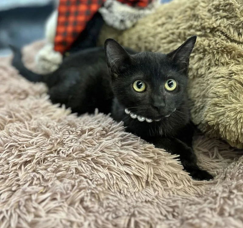 Clarice Baby thumbnail 3