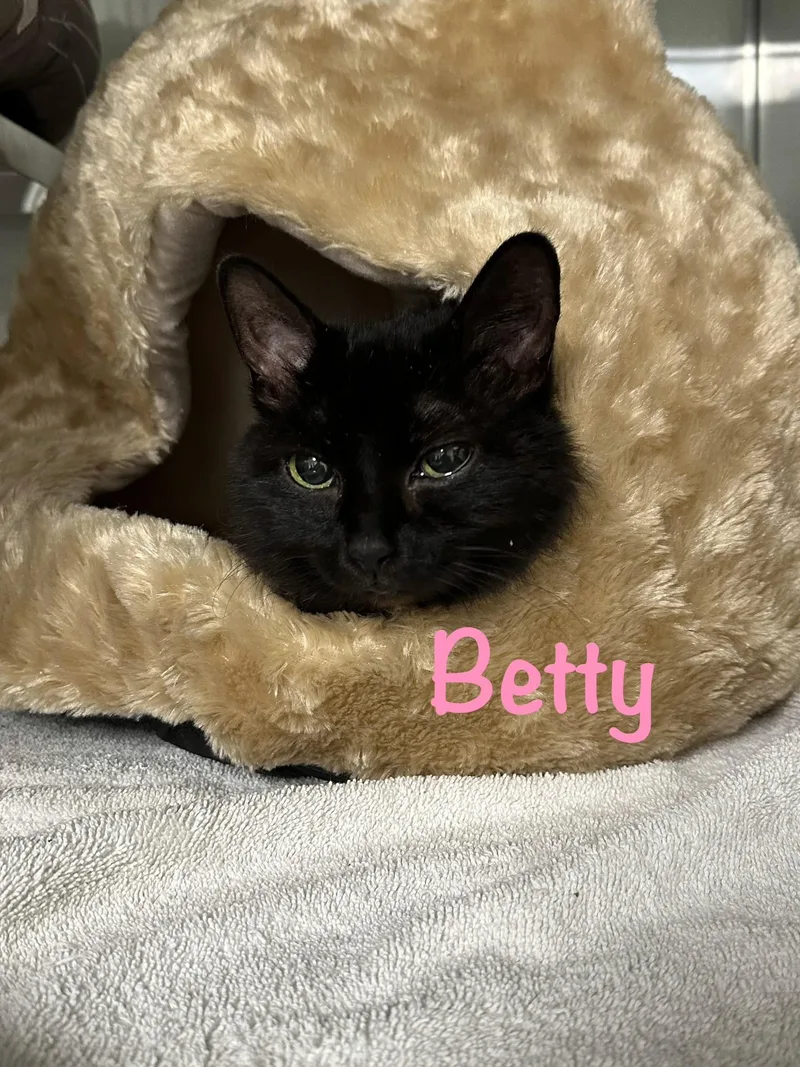 Betty