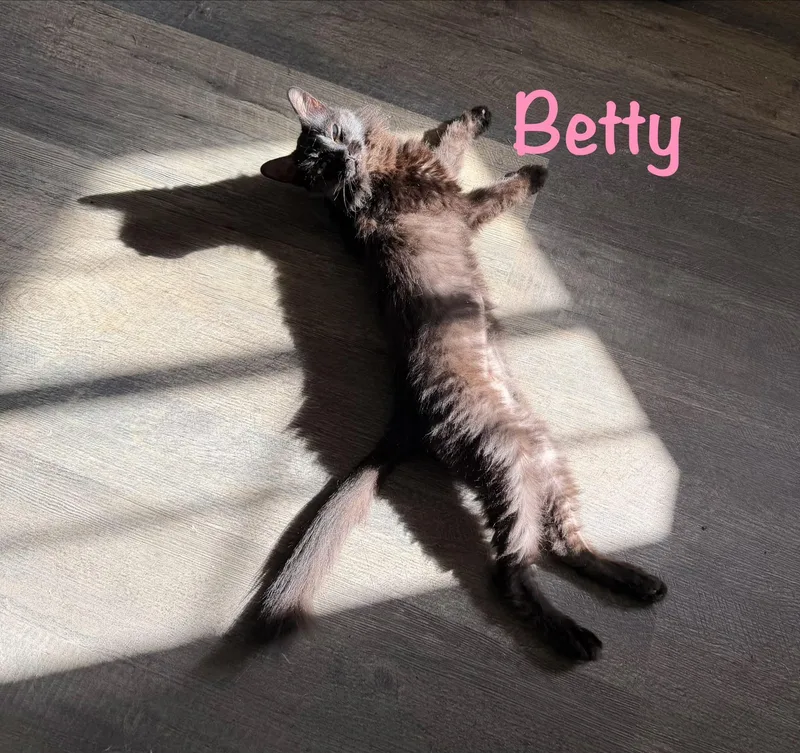 Betty thumbnail 2