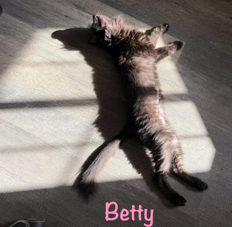 Betty thumbnail 3