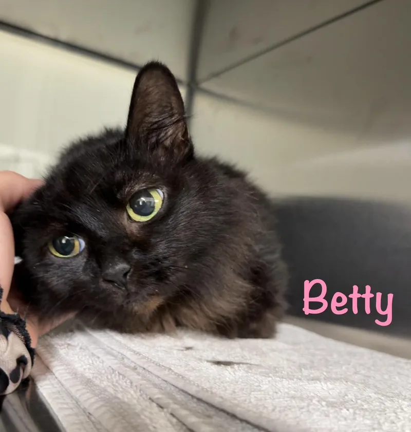Betty thumbnail 4