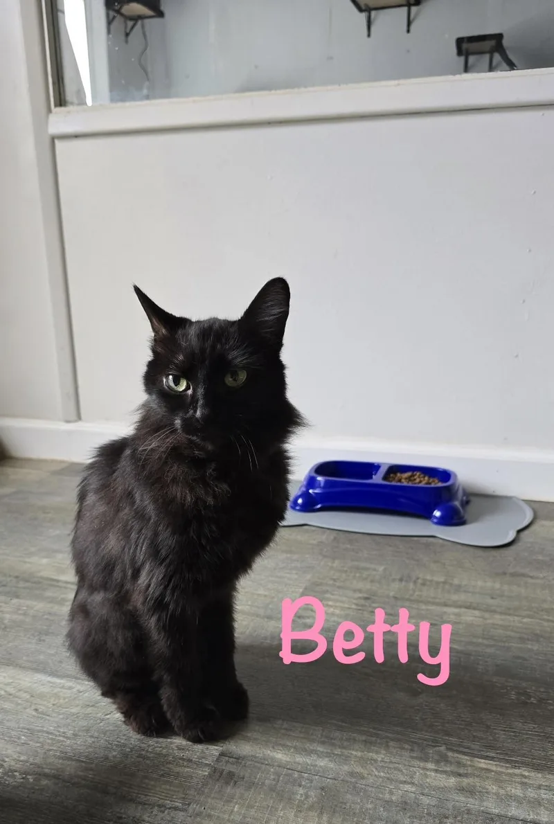 Betty thumbnail 5
