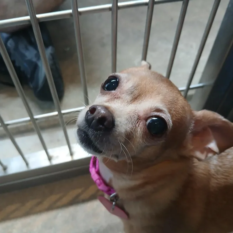 Lulu thumbnail 3