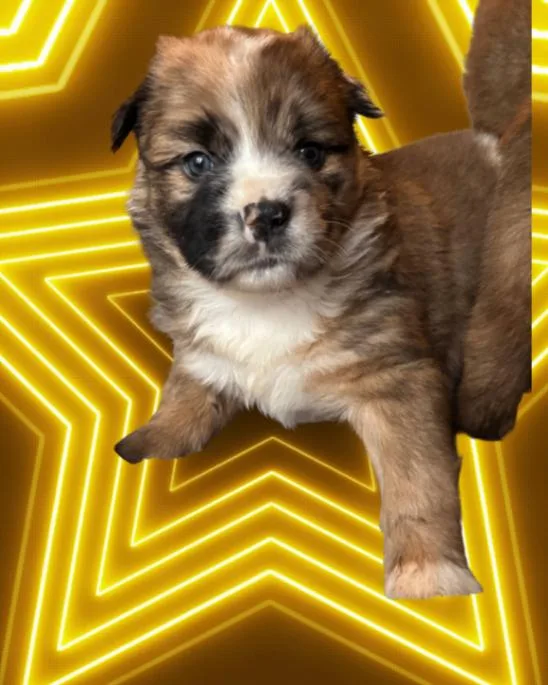 Devereaux thumbnail 2