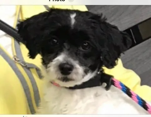 Sunshine thumbnail 2