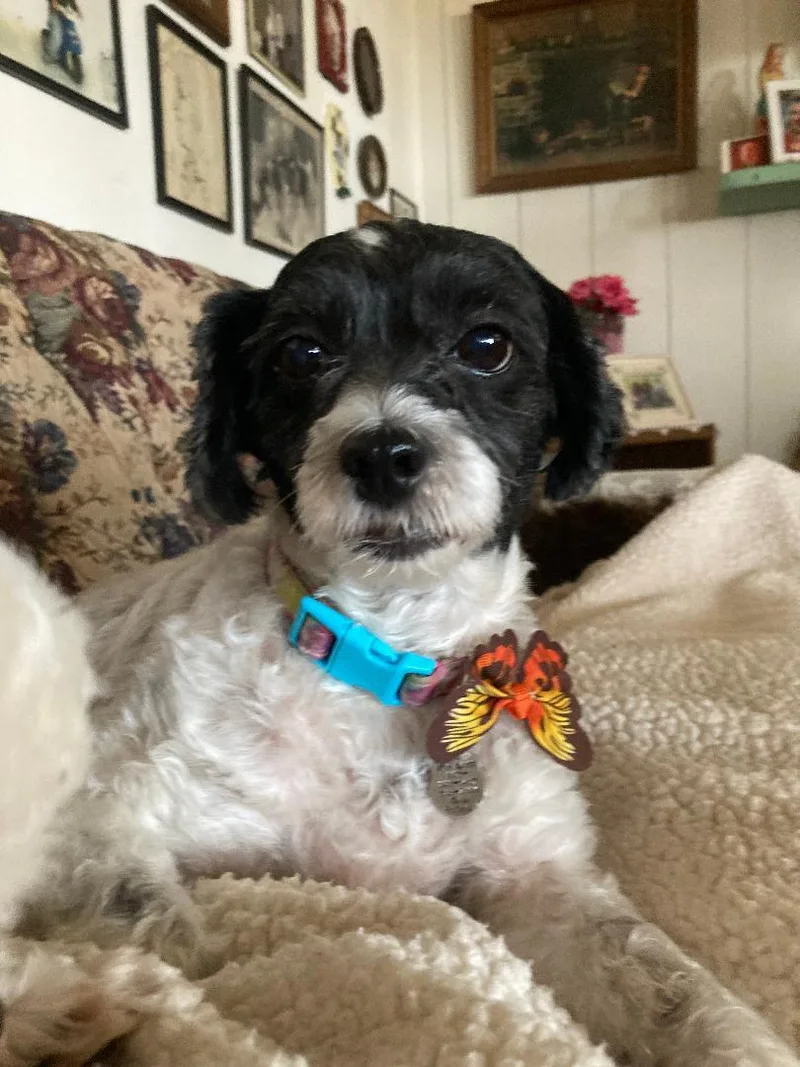 Sunshine thumbnail 3