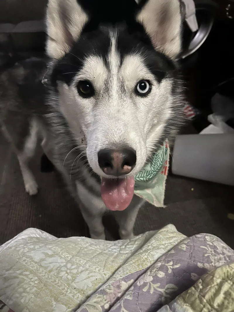 Henry James thumbnail 2