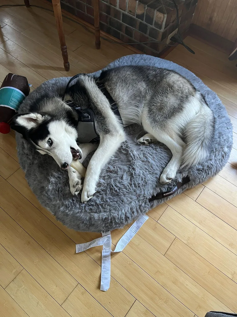 Henry James thumbnail 3