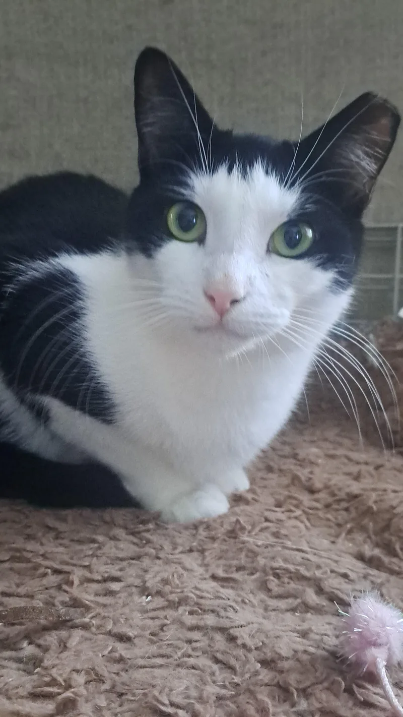 Vinny And Obi thumbnail 3